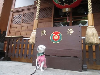 神社でパシャリ☆彡