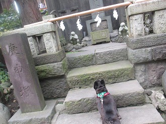 神社を探検！！