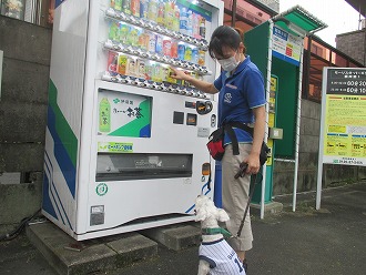 自動販売機慣れ☆