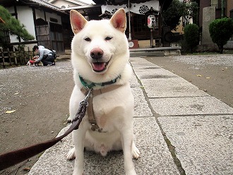 神社へお散歩♪