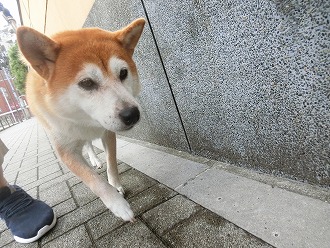 気持ちイイ～☆彡