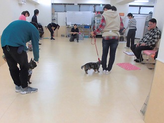 飼い主さんもお勉強♪