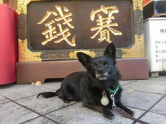 神社での１枚♪