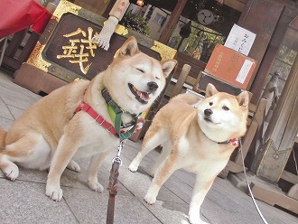 神社で一休み♪