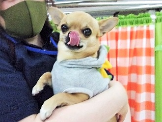 ようこそDOGLYへ😆💕