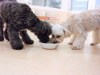 水分補給は忘れずに😋💦