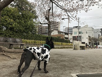 視線の先にあるものは❓👀