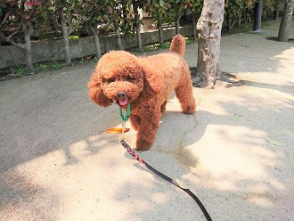 お散歩日和😊🌞"/