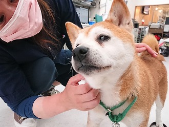 気持ちよさそうに😚"/