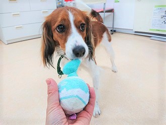 雨の日も元気いっぱい☂🌈"/