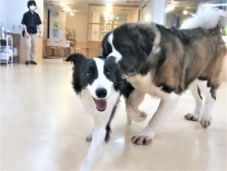 大きさは違えど🤝🏻"/