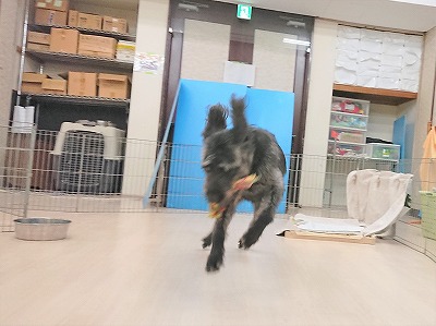 飛び跳ねて🏃🏻‍♂️"/