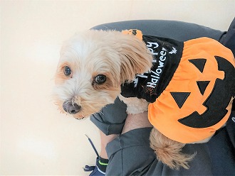 もうすぐ１０月🎃"/