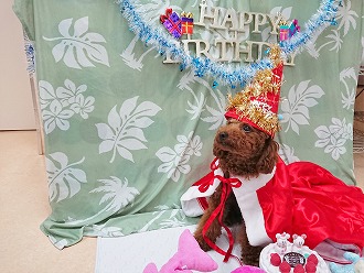 🎉✨２歳の誕生日おめでとう🎁🎊"/