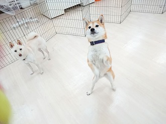 準備万端！いつでも投げて🥎"/