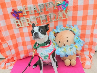 🎉３歳の誕生日おめでとう🎁