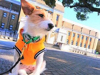 風が強すぎて💦