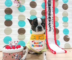 お誕生日おめでとう🎉✨