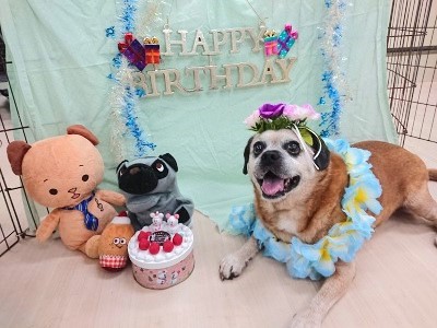 🎈お誕生日おめでとう🎉