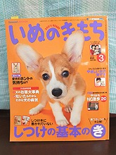 いぬのきもち本誌撮影