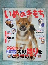 いぬのきもち本誌撮影