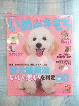 いぬのきもち本誌撮影