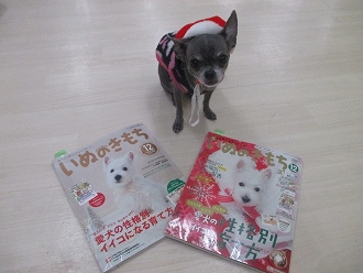 いぬのきもち12月号　「愛犬が本当に欲しいクリスマスギフト診断」