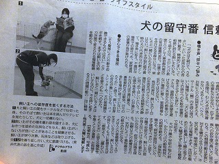 毎日新聞　犬の留守番