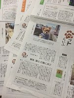 いぬのきもち本誌撮影