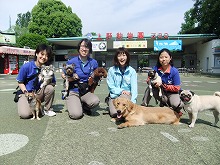 みんなでお座り、待て