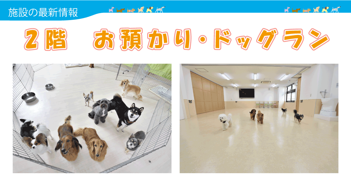 DOGLY愛犬E-SCHOOLのご案内2F