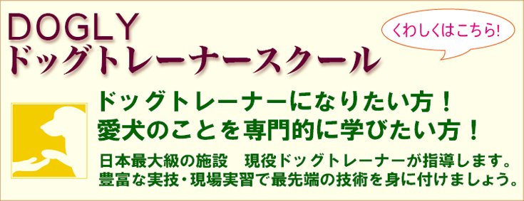 DOGLYドッグトレーナースクールのご案内