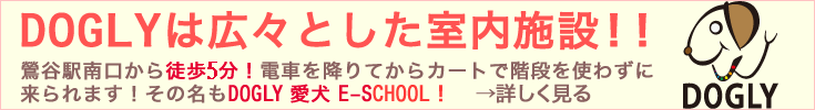 DOGLY愛犬E-SCHOOLのご案内