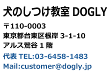 犬のしつけ教室 東京都台東区根岸3-1-10アルス鶯谷1階  TEL:03-6458-1483