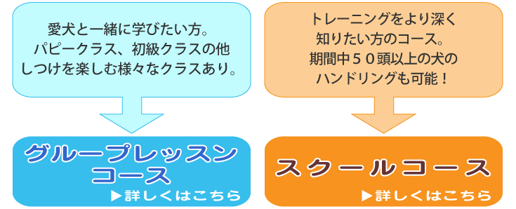 各コースのご案内