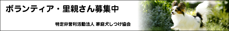 特定非営利活動法人家庭犬しつけ協会