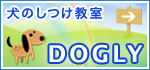 犬のしつけ教室DOGLY東京