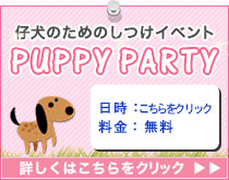 子犬のしつけイベント！パピーパーティー