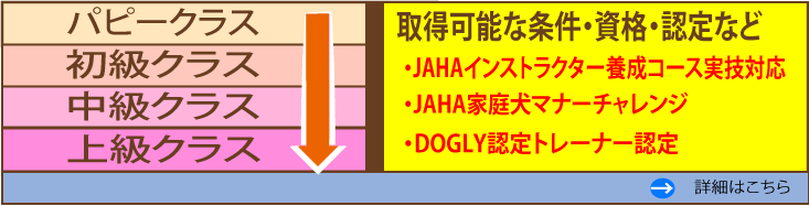 選べるレッスンコース！