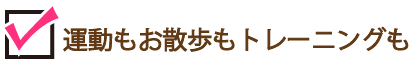 運動もお散歩もトレーニングも