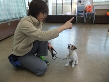 幼稚園で必要なしつけもしてほしい